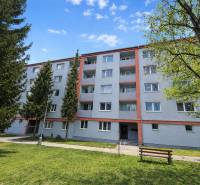 Ein fünfstöckiges Wohnhaus in der Palárikova-Straße in Senica, umgeben von Grünflächen.