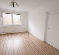 Ein Zimmer mit einem Fenster, weißen Wänden und einem Boden in Holzoptik in einer 2-Zimmer-Wohnung.