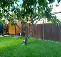 Gärten in Dolné Krškany, Nitra, mit Rasen, Baum, kleinem Holzhaus und Zaun.