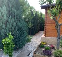 Gärten in Dolné Krškany, Nitra mit gepflegten Nadelbäumen und einem hölzernen Gartenhäuschen.