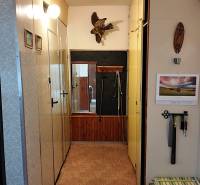 Flur in einer 2-Zimmer-Wohnung mit Garderobenwand und Wanddekoration.