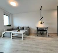 2-Zimmer-Wohnung mit bequemer Couch, Tisch und Holzboden.