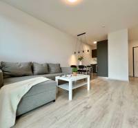 Wohnzimmer mit Holzboden, Sofa und Esstisch in einer Zweizimmerwohnung.