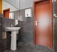 Bürotoiletten mit Waschbecken, grauen Fliesen und Holztüren.