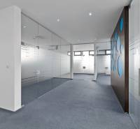 Büros mit verglasten Trennwänden und blauen Dekorationselementen.