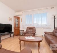 Wohnzimmer in einer 3-Zimmer-Wohnung mit Ledermöbeln und Holzboden.