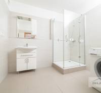 Badezimmer in einer 3-Zimmer-Wohnung mit Waschbecken, Dusche und Waschmaschine.