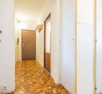 Flur in einer 2-Zimmer-Wohnung mit Holzboden und Einbauschrank.