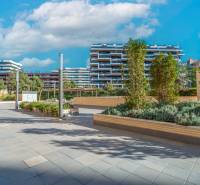 Moderne Architektur in Alicante mit Blick auf eine 2-Zimmer-Wohnung, umgeben von Grünflächen.