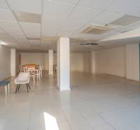 Entschuldigung, ich benötige den text, ktorý chcete preložiť do nemčiny.