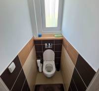 Toilette im Einfamilienhaus mit Fenster und Keramikfliesen, Boden mit Dekor.