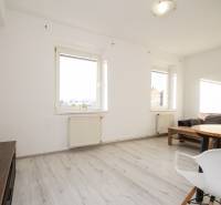 Wohnzimmer in einer 2-Zimmer-Wohnung mit Holzboden und zwei Fenstern.