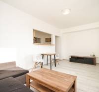 Wohnzimmer in einer Zweizimmerwohnung mit Holzboden und einfacher Einrichtung.