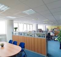 Büros mit blauem Teppichboden, große Fenster, unterteilte Arbeitsbereiche, Konferenztisch.