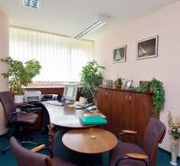 Ein Büro mit Schreibtischen, Stühlen, einem Computer und Pflanzen, Boden mit Teppichdekor.