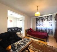 Gemütliche 1-Zimmer-Wohnung mit Holzboden, Bett und Sofa mit Blumenmuster.