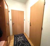 Der Flur in einer Einzimmerwohnung mit Möbeln, Türen und einem Boden in Holzoptik.