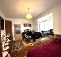 Wohnbereich in einer Einzimmerwohnung mit Holzboden und Teppich.