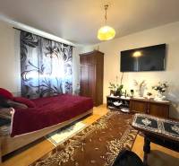 Einzimmerwohnung mit Bett, Fernseher und Holzboden.