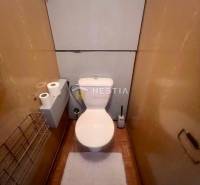 Toilette in einer 3-Zimmer-Wohnung mit Holzdekor und Stauraumlösungen.