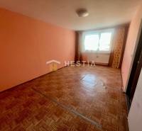 Ein Zimmer mit Holzboden und pastellfarbenen Wänden in einer 3-Zimmer-Wohnung.