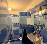 Ein Badezimmer in einem Einfamilienhaus mit blau-weißen Fliesen, einem Waschbecken und einer Duschkabine.