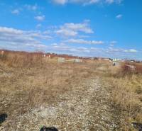 Wohnbaugrundstücke in Nové Zámky mit natürlichem Bewuchs und klarem Himmel.