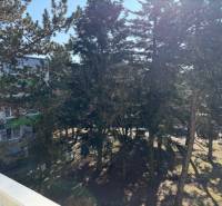 Die Bäume in der Ondrejovova-Straße in Bratislava-Ružinov bieten den Ausblick von einer 3-Zimmer-Wohnung.