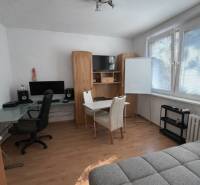 Innenraum einer 3-Zimmer-Wohnung mit Holzboden, Schreibtisch und Sofa.