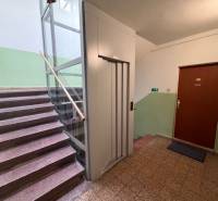 Im Wohnhaus befinden sich Treppen, ein Aufzug und die Tür einer 3-Zimmer-Wohnung.