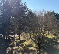 Park in Bratislava-Ružinov in der Ondrejovova-Straße mit dichtem Baumbestand.