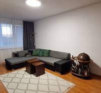 Wohnzimmer in einer Vierzimmerwohnung mit Holzboden, Sofa und dekorativem Globus.