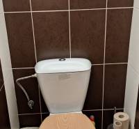 Toilette mit Holzboden in einer 4-Zimmer-Wohnung.