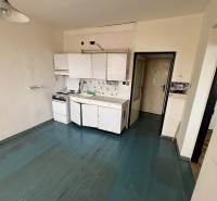 Küchenzeile in einer Einzimmerwohnung mit Holzboden.