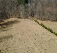 Freizeitgrundstücke in Kľak mit Grasbewuchs, gesäumt von Nadelbäumen, in der Nähe des Waldes.