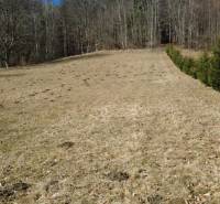 Freizeitgrundstücke bei Kľak mit Rasenfläche und Nadelbäumen am Waldrand.