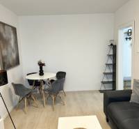 Wohnzimmer in einer 2-Zimmer-Wohnung mit Holzboden, grauem Sofa und Esstisch.