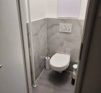 Toilette mit Fliesen und hängendem WC in einer 2-Zimmer-Wohnung.