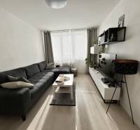 Wohnzimmer mit Sofa, Fernseher und Holzboden in einer 2-Zimmer-Wohnung.