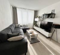 Wohnzimmer in einer 2-Zimmer-Wohnung mit Holzboden und Sofa.