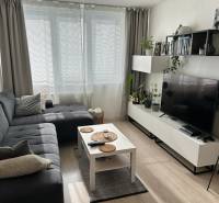 Wohnzimmer in einer Zweizimmerwohnung mit Sofa und Tisch, Böden mit Holzdekor.