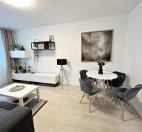 Innenraum einer 2-Zimmer-Wohnung mit Tisch, Stühlen und Dekorationen, Boden mit Holzdekor.