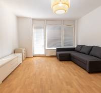 Wohnzimmer in einer 2-Zimmer-Wohnung mit Sofa, Schrank und Boden in Holzoptik.