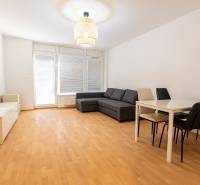 Wohnzimmer in einer Zweizimmerwohnung mit Holzboden und grauem Sofa.