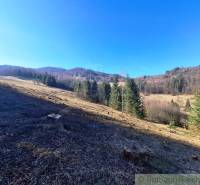 Schöne Naturlandschaft von landwirtschaftlichen und forstwirtschaftlichen Flächen in Hronec mit Bäumen und Wiesen.
