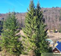 Landwirtschaftliche und forstwirtschaftliche Flächen in Hronec, Wälder und Hausdächer.