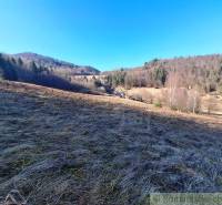 Landschaft mit Wiese und Wäldern in Hronec, Grundstücke - Wohnen.