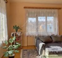 Ein Zimmer in einem Einfamilienhaus mit einem Sofa, einer Pflanze, einem Teppich und einem Bücherregal.