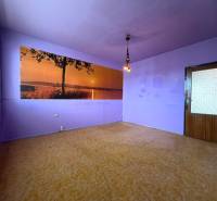 Lila Wände in einer 2-Zimmer-Wohnung mit Holzboden und einem natürlichen Fototapete.