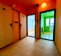 Flur in einer 2-Zimmer-Wohnung mit Zugang zu farbigen Räumen, Boden mit Holzdekor.